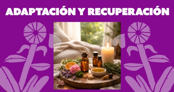 Adaptación y Recuperación – Ritual de Regreso a Casa